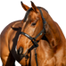 Horseware - Halster en loodlijn Amigo zwart | - Ohlala