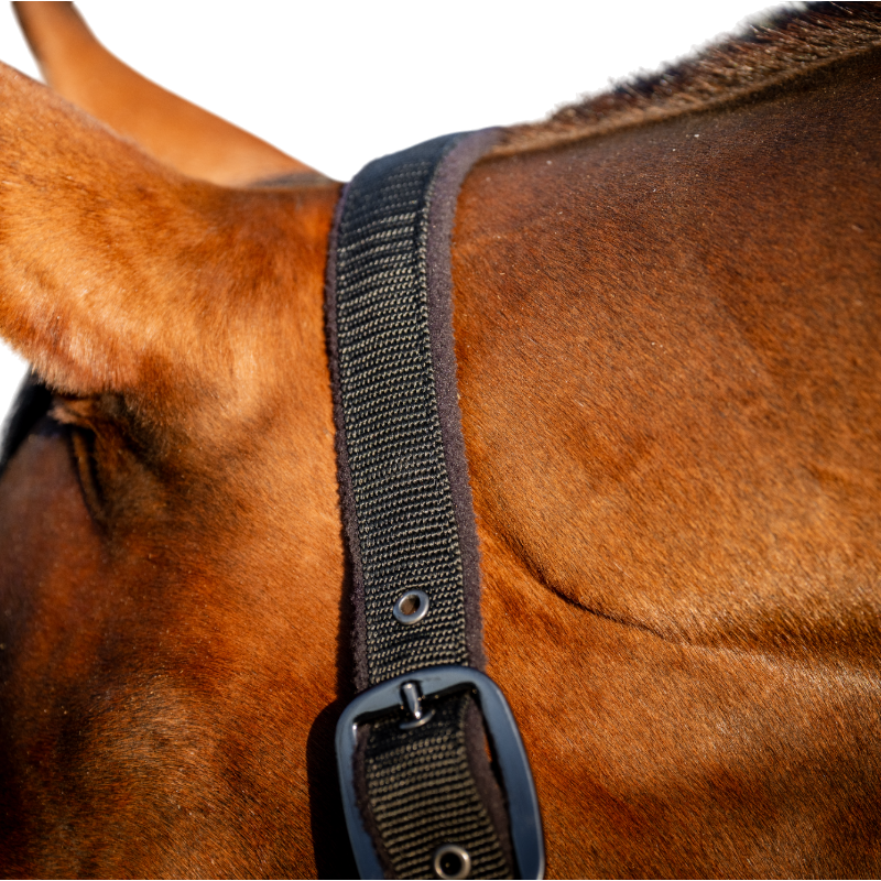 Horseware - Licol et longe Amigo noir | - Ohlala