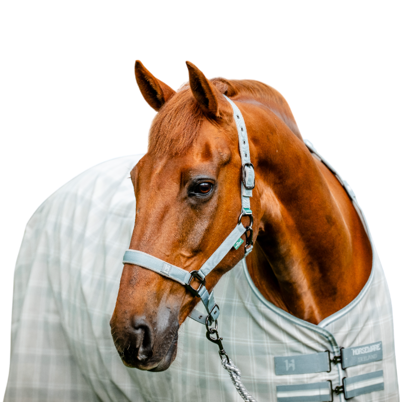 Horseware - Licol et longe Newmarket witney charcoal