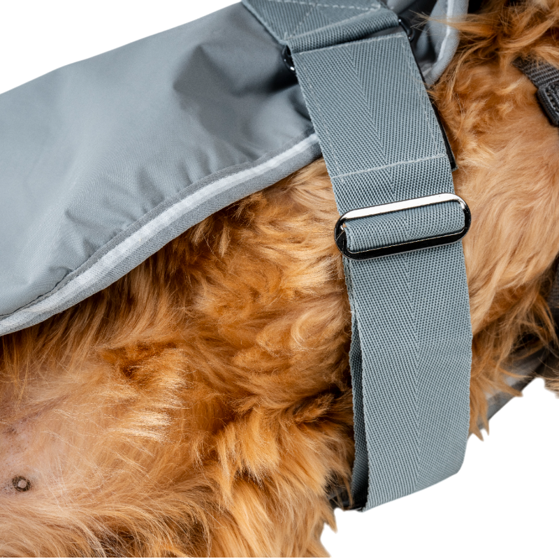 Horseware - Manteau pour chien Newmarket witney charcoal