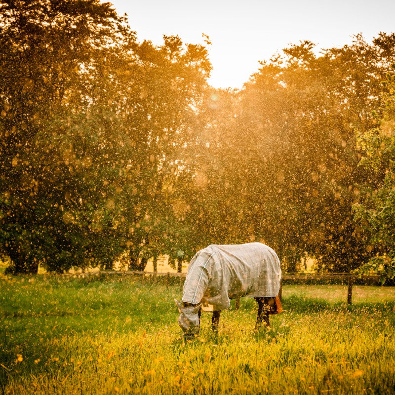 Horseware - Masque anti-mouches Newmarket witney charcoal