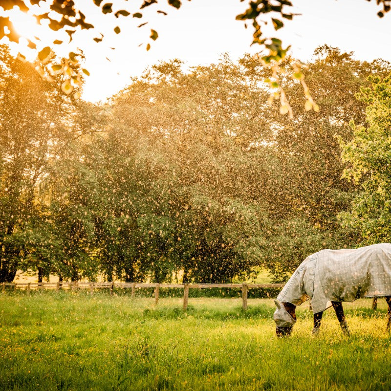 Horseware - Masque anti-mouches Newmarket witney charcoal