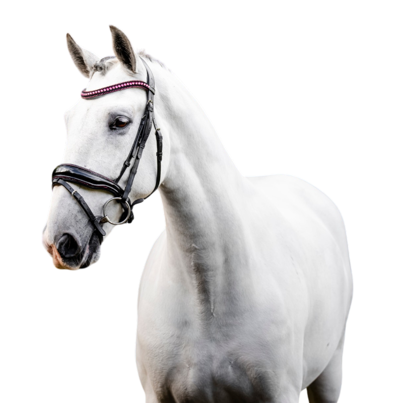 Horseware - Bridon Diamante Flash noir/ rose | - Ohlala