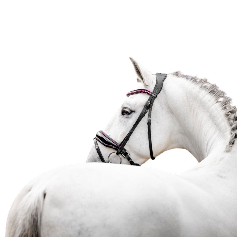 Horseware - Bridon Diamante Flash noir/ rose | - Ohlala