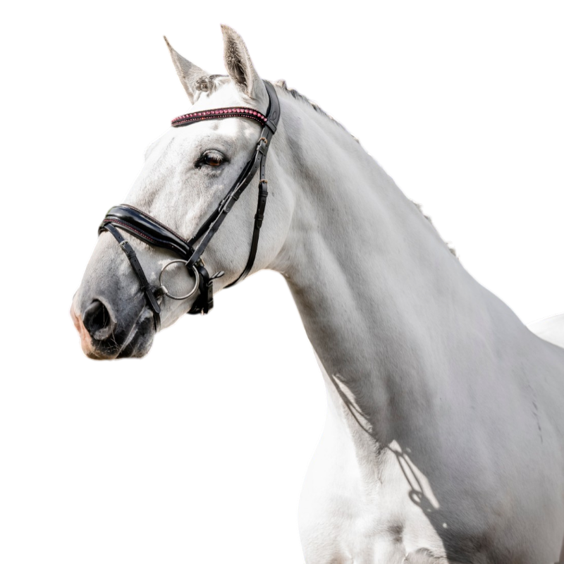 Horseware - Diamante Flash hoofdstel zwart/roze | - Ohlala