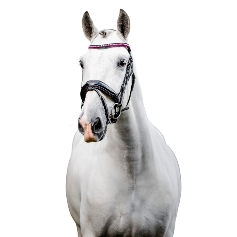 Horseware - Diamante Flash hoofdstel zwart/roze | - Ohlala