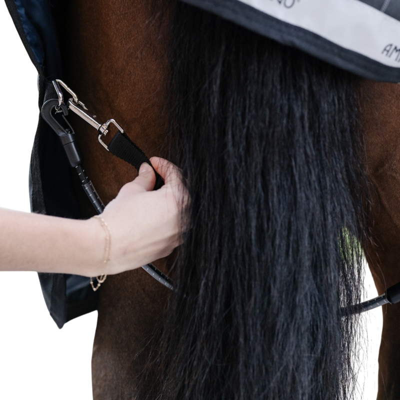 Horseware - Elastische staart-/dijriem zwart | - Ohlala