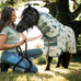 Horseware - Vliegendeken Amigo Bug Rug Plus Petite dragonfly print/ zilver/ blauw/ salie | - Ohlala