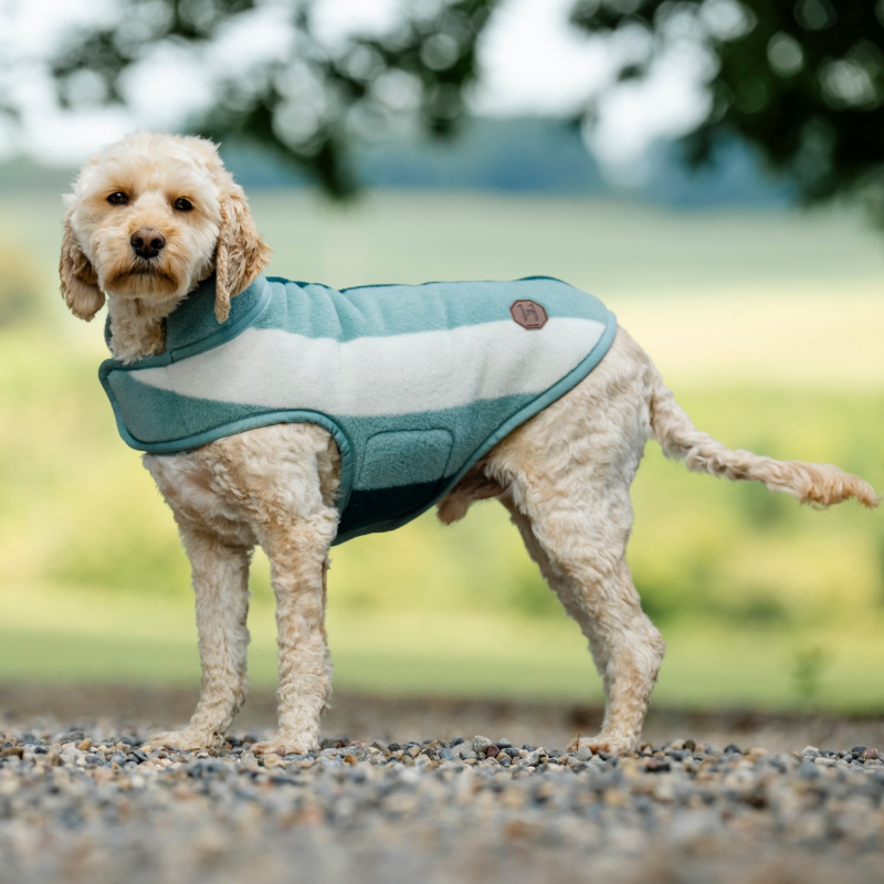 Horseware - Hondendeken Newmarket witney dynasty | - Ohlala