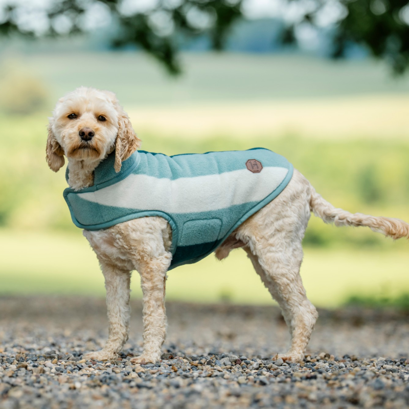 Horseware - Hondendeken Newmarket witney dynasty | - Ohlala
