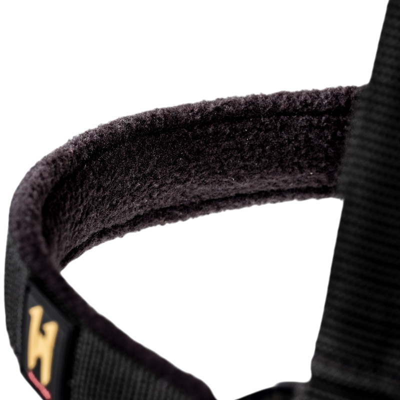 Horseware - Licol et longe Newmarket witney gold