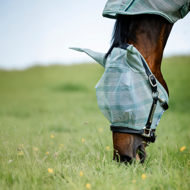 Horseware - Masque anti-mouches Newmarket witney dynasty | - Ohlala
