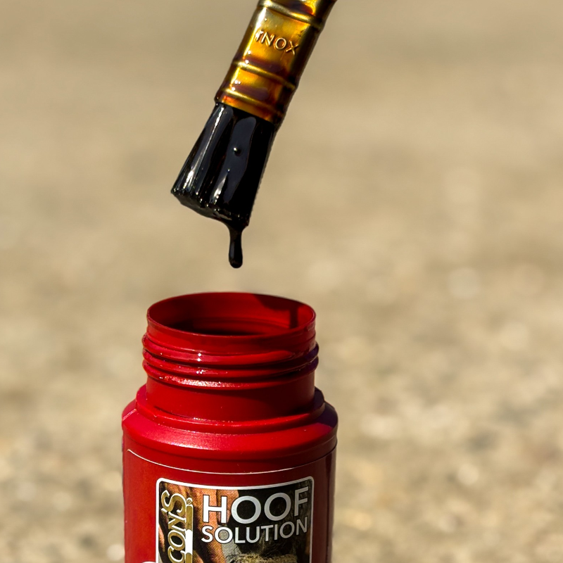 Kevin Bacon's - Hoof Solution réparateur fourchettes pourries