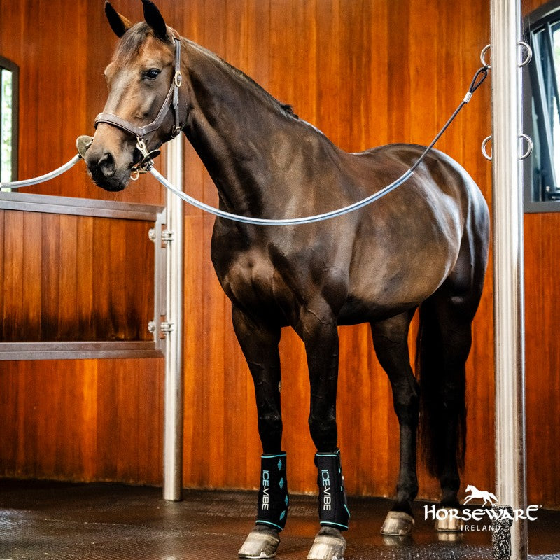 Horseware - Guêtres refroidissantes Ice Vibe Génération 2 | - Ohlala