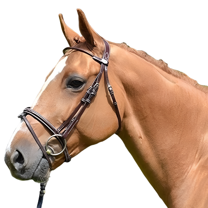 Flags & Cup - Brdon Comfort combné avec rênes nor | Bonnet cheval