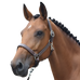 Jump'In - Halster Fancy One Noisette | - Ohlala