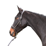 Jump'In - Lederen halster One Premium Clincher havana | - Ohlala