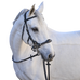 Jump'In - Hoofdstel One Premium Hackamore zwart | - Ohlala