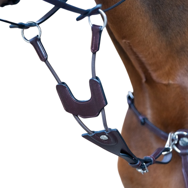 Jump'In - Martingale élastique de collier Origin havane