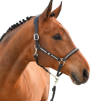Jump'In - Leren halster One Premium Clincher zwart | - Ohlala