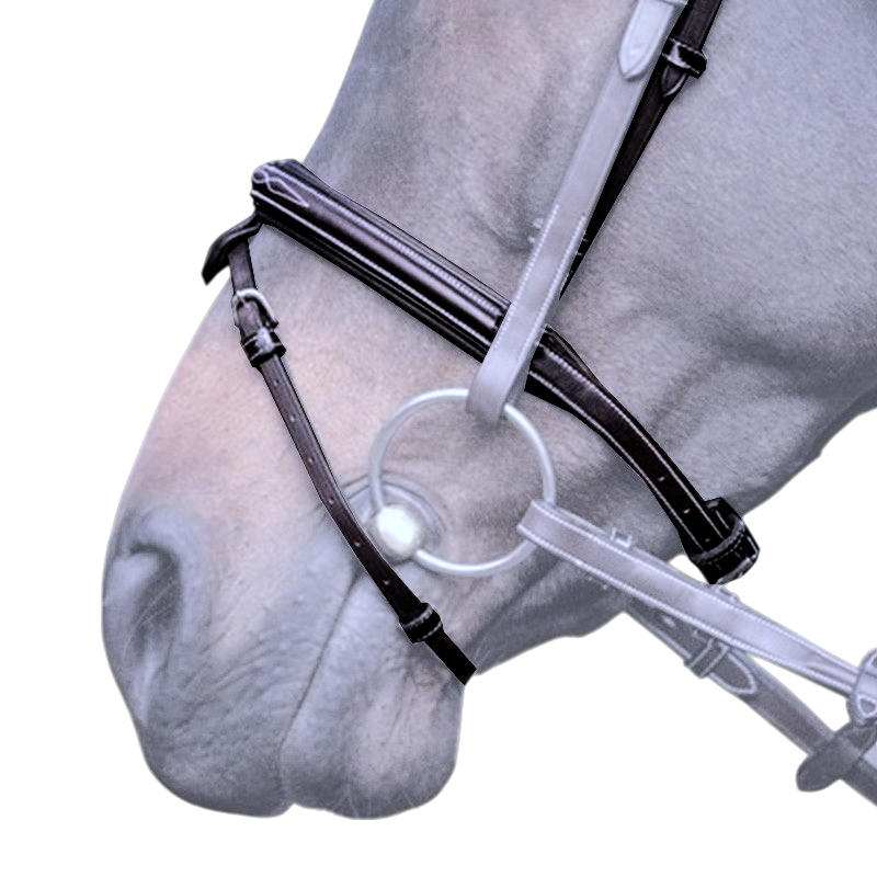 Jump'In - Muserolle croisée Wednesday noir | - Ohlala