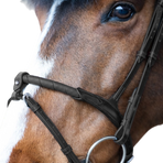 Jump'In - Hoofdstel gecombineerde neusriem touw Evolution zwart | - Ohlala