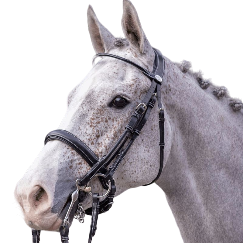 Canne de marche derby flower fantaisie - Herdegen