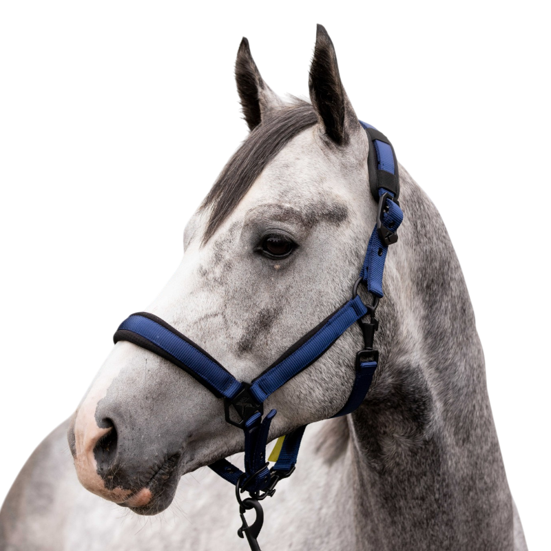 Licol K-ENTEBBE marine - K By Equithème