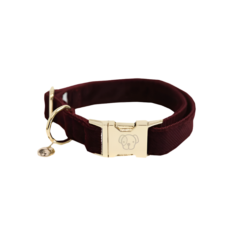 Kentucky Dogwear - Colliers pour chiens Corduroy Bordeaux | - Ohlala