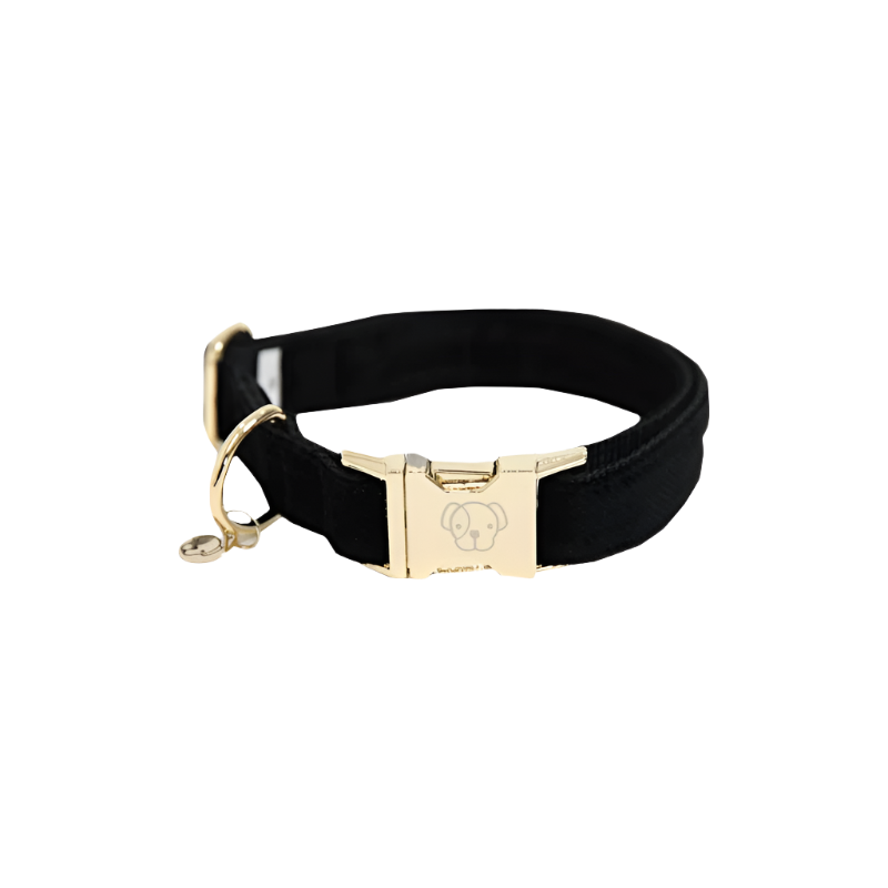 Kentucky Dogwear - Colliers pour chiens Corduroy Noir | - Ohlala