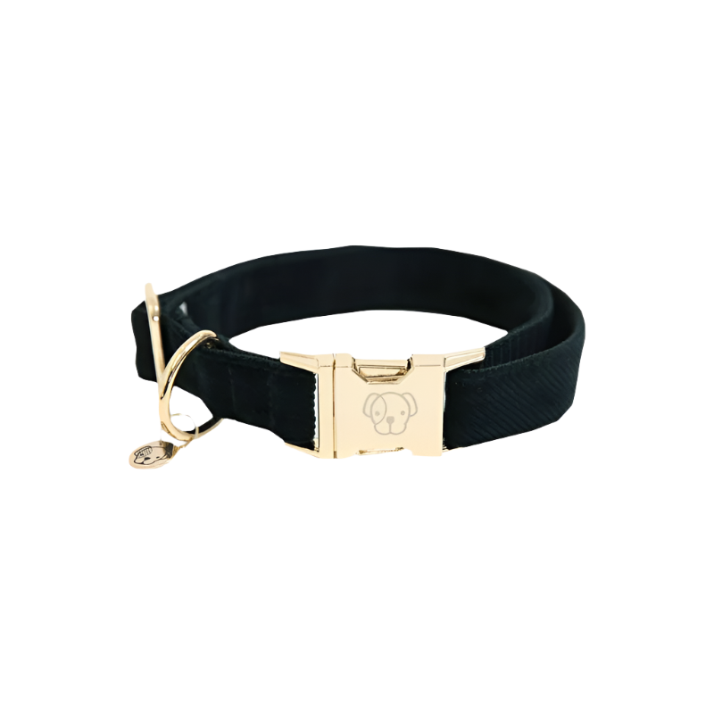 Kentucky Dogwear - Colliers pour chiens Corduroy Vert | - Ohlala