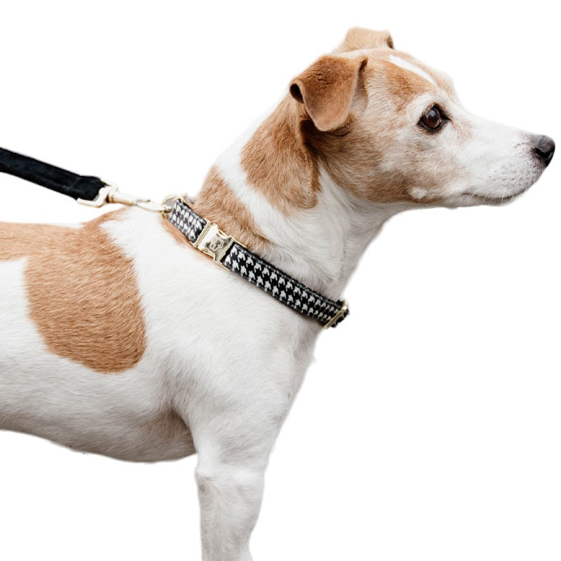Kentucky Dogwear - Collier pour chien Pied de poule noir | - Ohlala