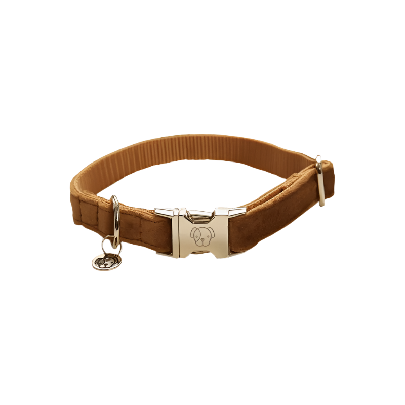 Kentucky Dogwear - Colliers pour chiens Velvet Moutarde | - Ohlala