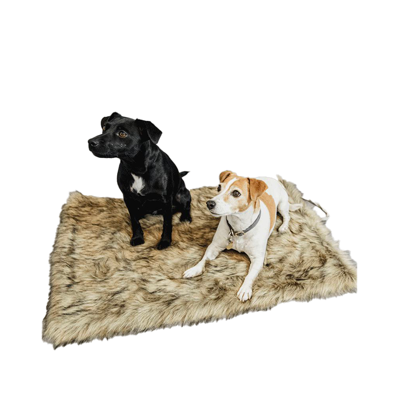 Kentucky Dogwear - Tapis pour chien Fuzzy Blanket To Go | - Ohlala