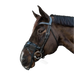 Kentucky Horsewear - Vliegenneus | - Ohlala