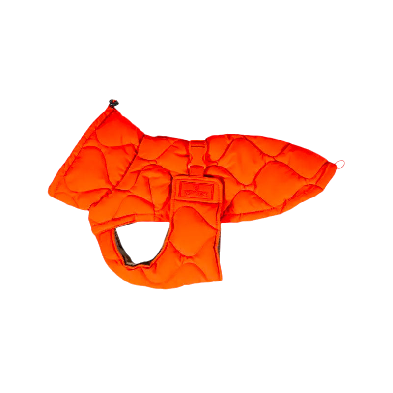 Kentucky Dogwear - Manteau pour chien Pina orange 160g | - Ohlala