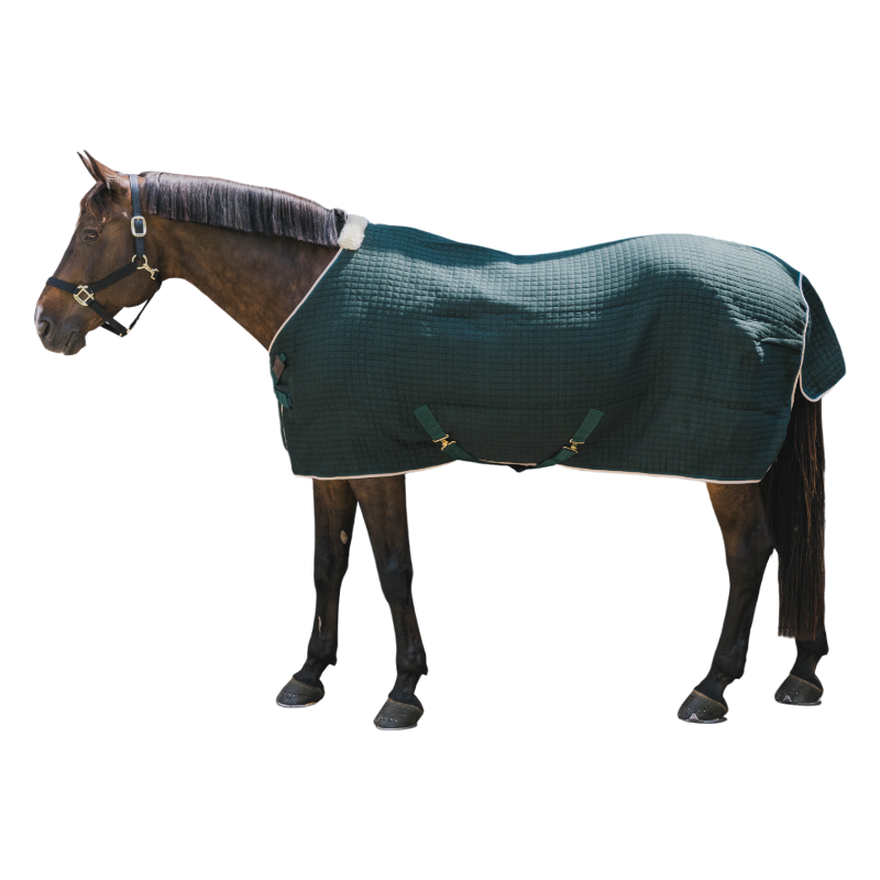 Kentucky Horsewear - Chemise séchante Protherm vert foncé | - Ohlala