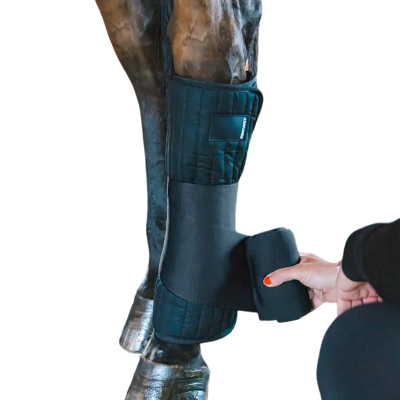 Kentucky Horsewear - Coton Stable Bandage Wraps noir (x4) | - Ohlala