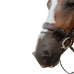 Kentucky Horsewear - Vliegenneusband bruin | - Ohlala