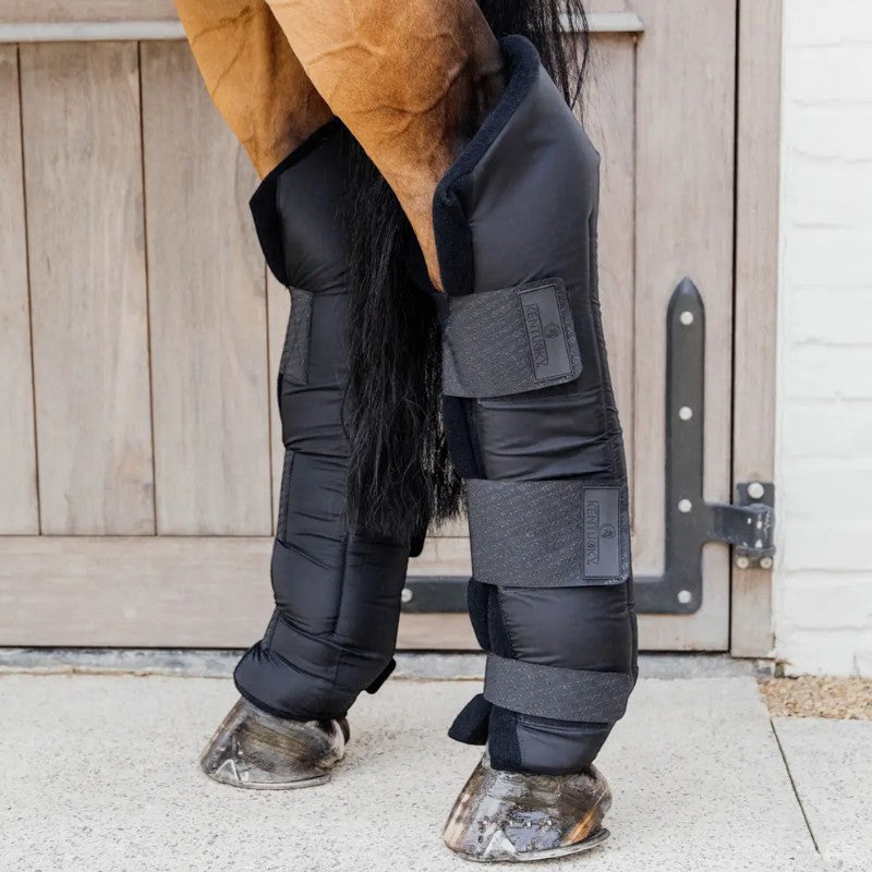 Kentucky Horsewear - Guêtres d'écurie longues Protect postérieurs noir (x2) | - Ohlala
