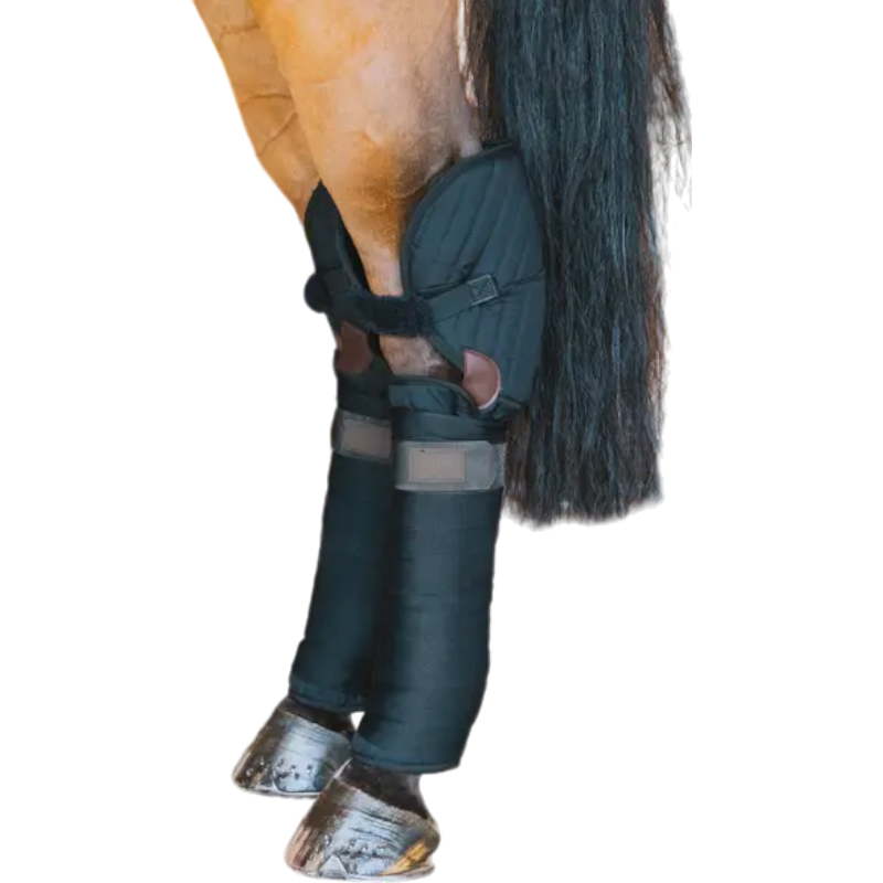 Kentucky Horsewear - Protections de transport noir (x2) | - Ohlala