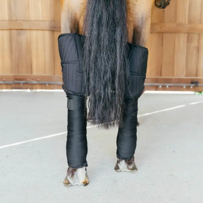 Kentucky Horsewear - Protections de transport noir (x2) | - Ohlala
