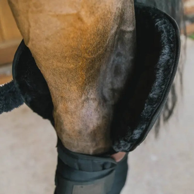 Kentucky Horsewear - Protections de transport noir (x2) | - Ohlala