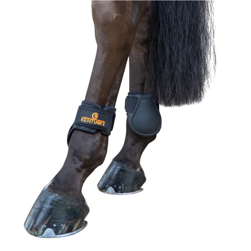 Kentucky Horsewear - Protège-boulets Young Horse Classic noir