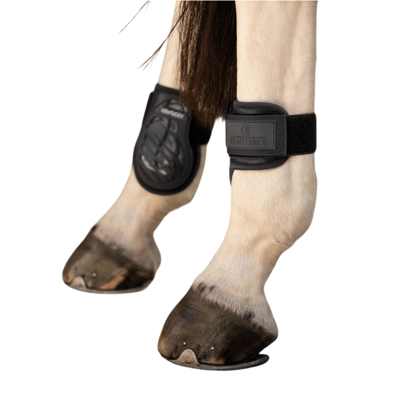 Kentucky Horsewear - Protège-boulets Young Horse Pro noir