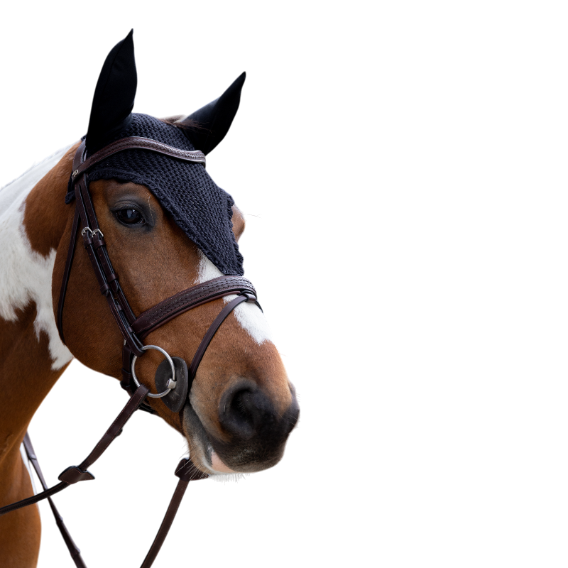 Kentucky Horsewear - Bonnet anti-bruit long marine | - Ohlala