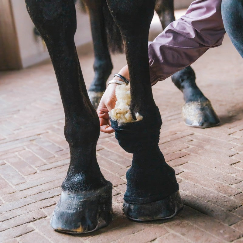 Grooming Deluxe - Laine thérapeutique | - Ohlala