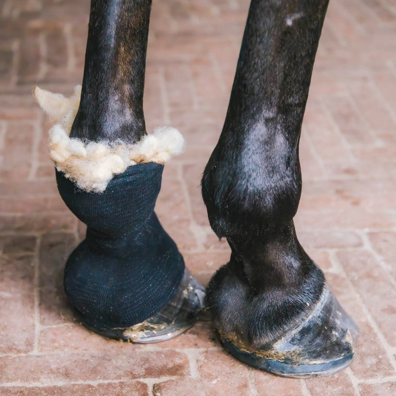 Grooming Deluxe - Laine thérapeutique | - Ohlala