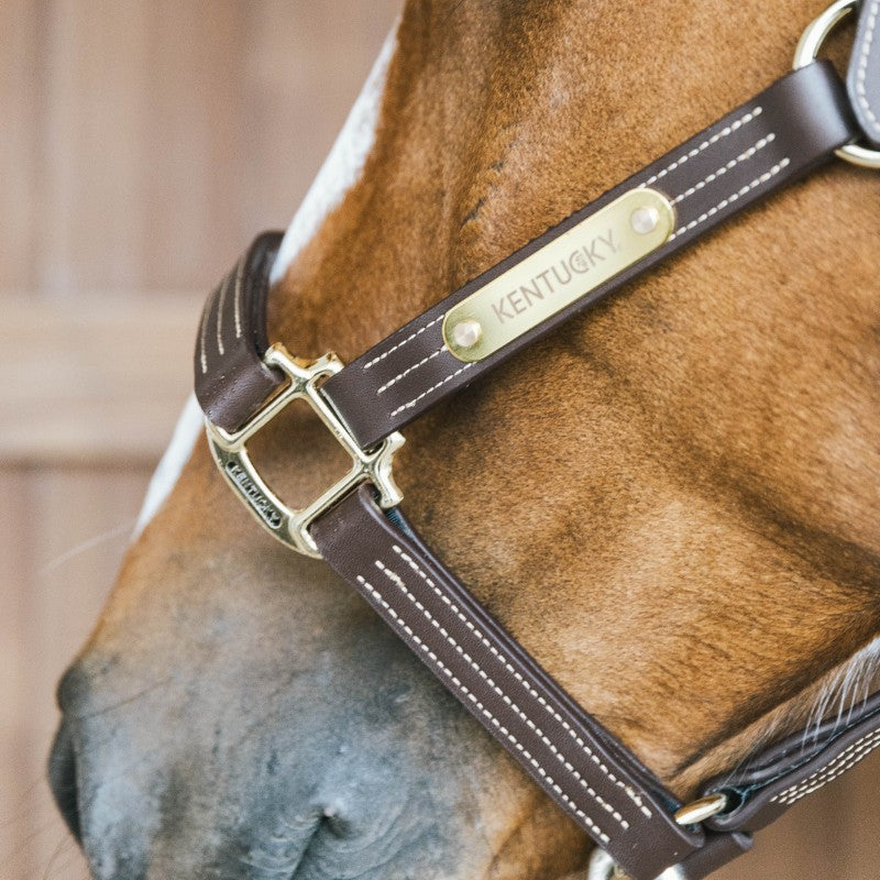 Kentucky Horsewear - Licol en cuir Wellington brun | - Ohlala