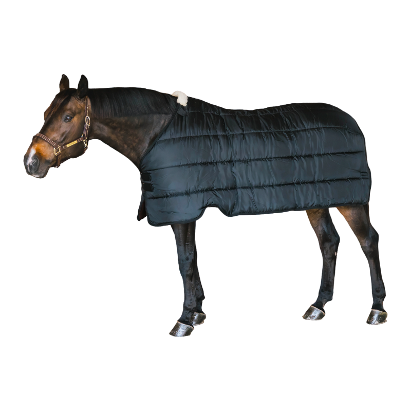 Kentucky Horsewear - Sous-couverture Confort Liner 200g marine | - Ohlala
